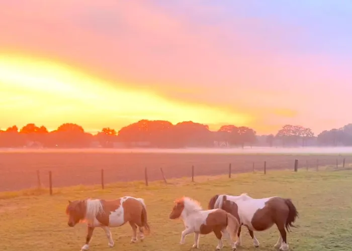 Vakantiewoning 't Linderveld Rossum (Overijssel)